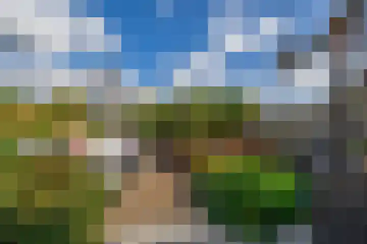 Jan Deugtstraat 5 Herkingen thumbnail 47