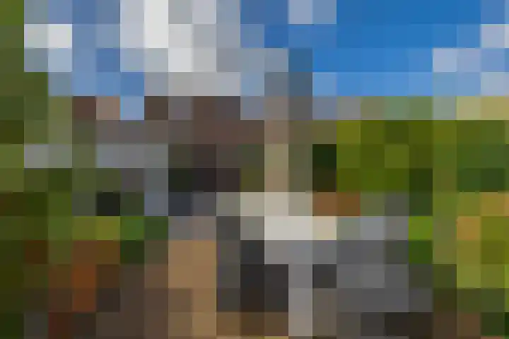 Jan Deugtstraat 5 Herkingen thumbnail 49