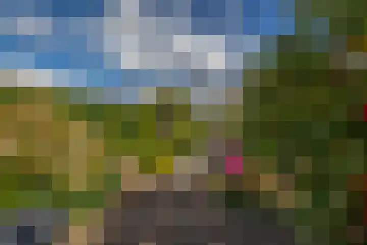 Jan Deugtstraat 5 Herkingen thumbnail 51