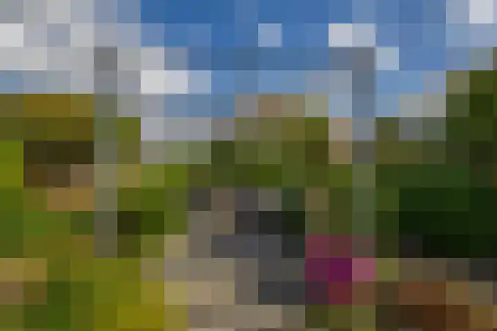 Jan Deugtstraat 5 Herkingen thumbnail 52