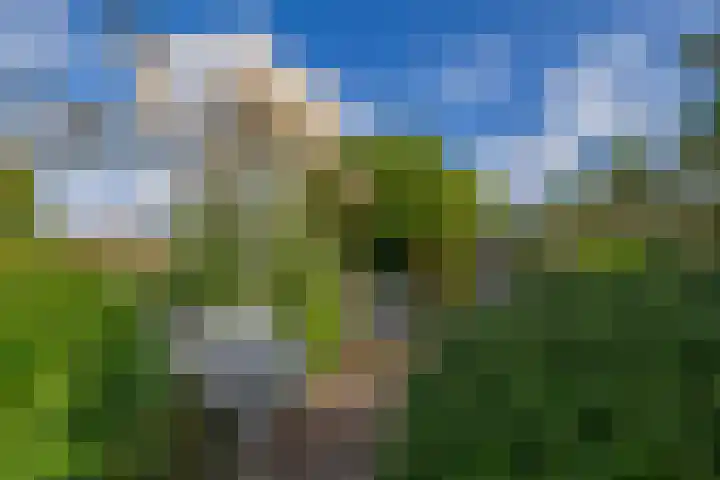 Jan Deugtstraat 5 Herkingen thumbnail 53