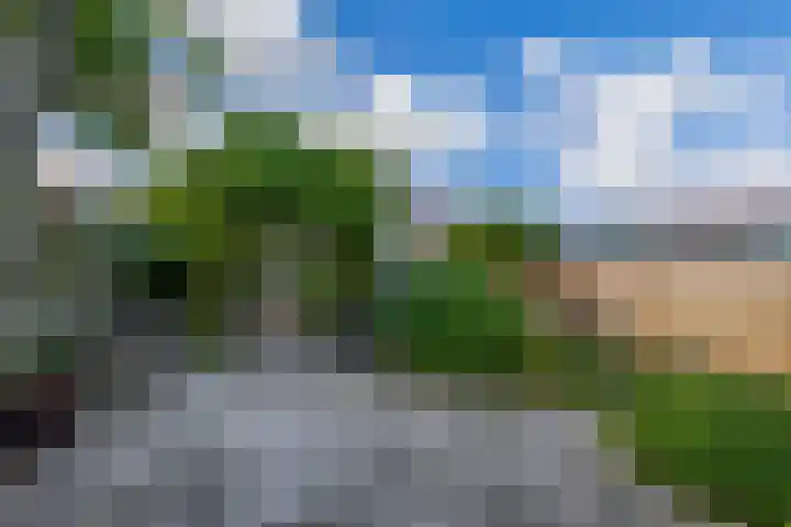Jan Deugtstraat 5 Herkingen thumbnail 55