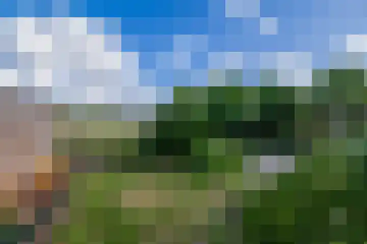 Jan Deugtstraat 5 Herkingen thumbnail 56