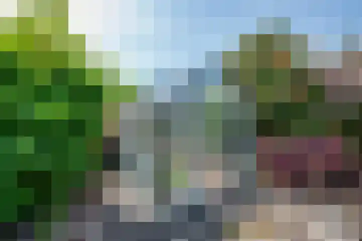 Jan Deugtstraat 6 Herkingen thumbnail 36