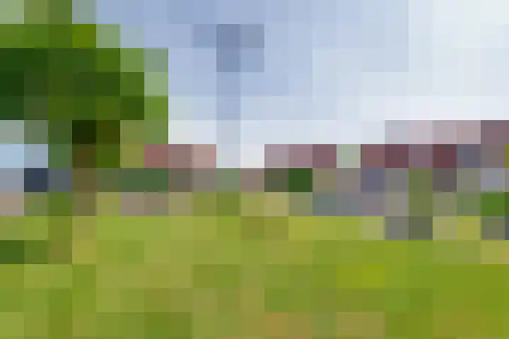 Jan Deugtstraat 6 Herkingen thumbnail 48