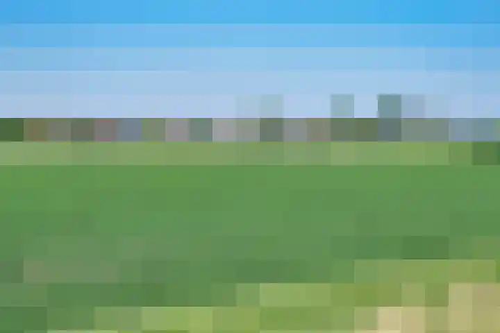 Jan Deugtstraat 6 Herkingen thumbnail 5
