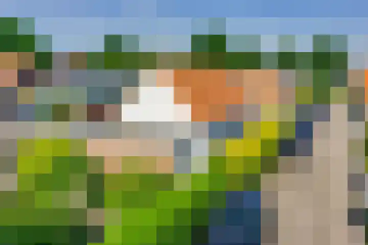 Jan Deugtstraat 6 Herkingen thumbnail 53