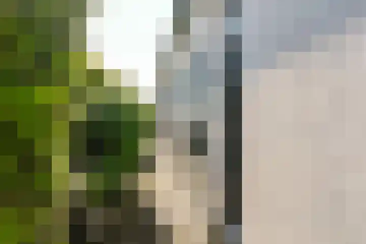 Jan Deugtstraat 6 Herkingen thumbnail 8