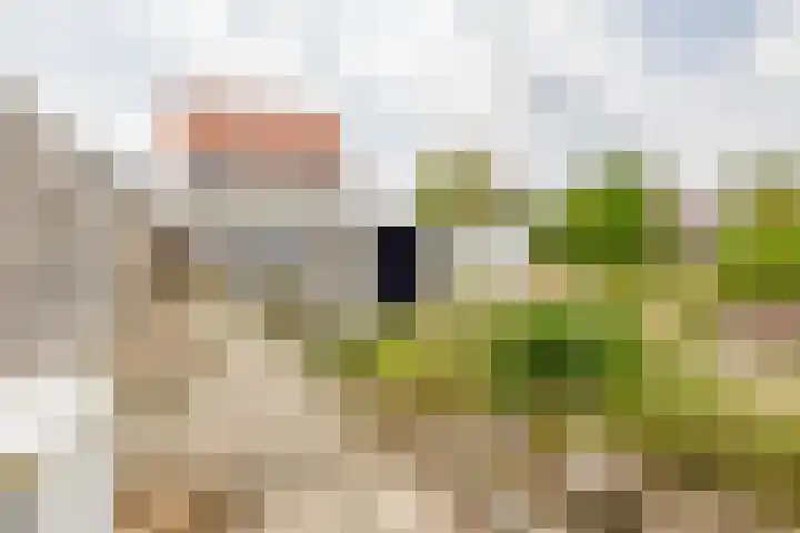 Jan Deugtstraat 9 Herkingen thumbnail 31