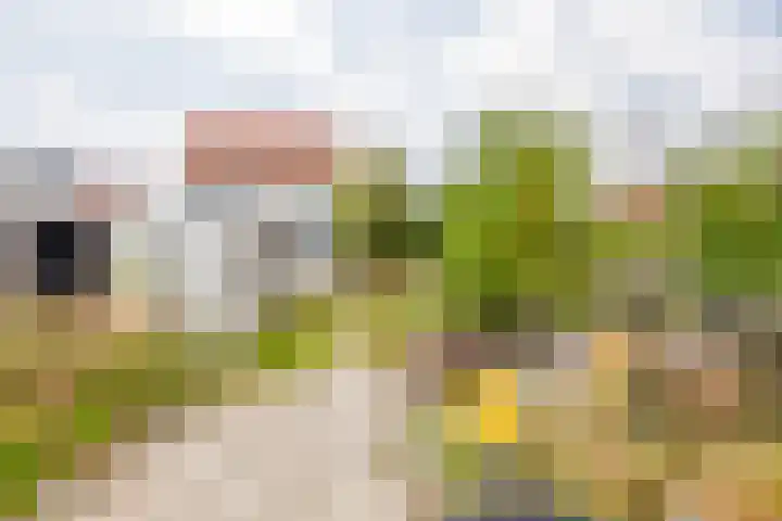 Jan Deugtstraat 9 Herkingen thumbnail 33