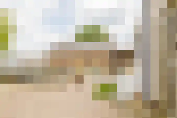 Jan Deugtstraat 9 Herkingen thumbnail 36