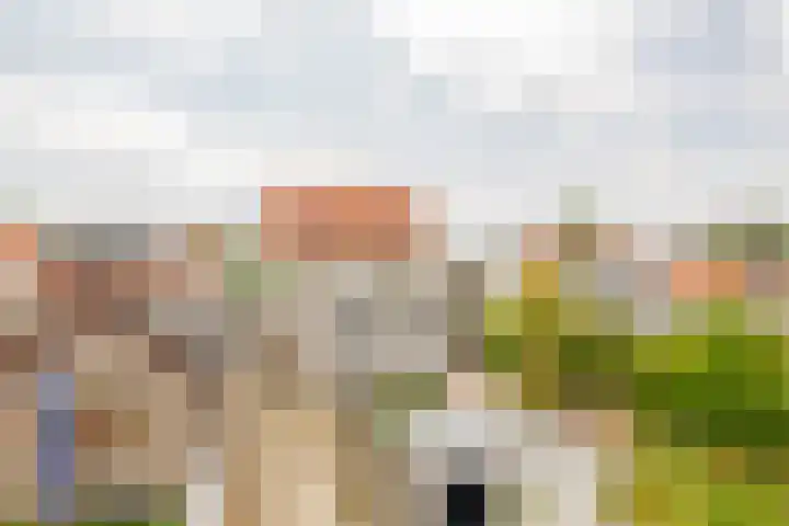 Jan Deugtstraat 9 Herkingen thumbnail 37