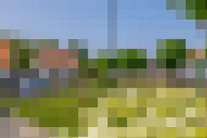 Jan Deugtstraat 9 Herkingen thumbnail 38