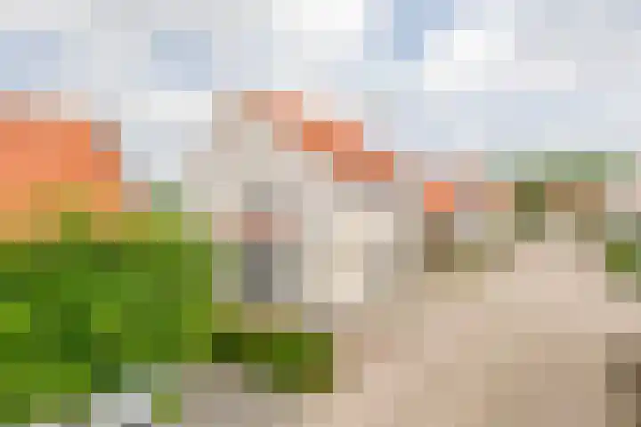 Jan Deugtstraat 9 Herkingen thumbnail 4