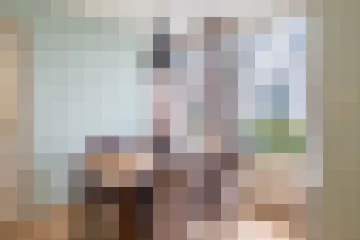 Jan Deugtstraat 9 Herkingen thumbnail 6