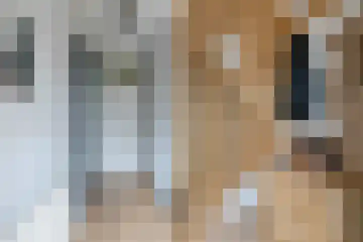 Jan Dignumszstraat 23 Kwadijk thumbnail 10