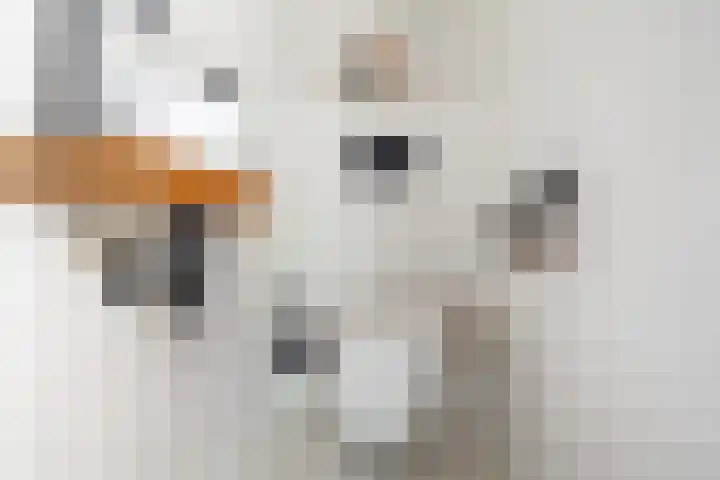 Jan Dignumszstraat 23 Kwadijk thumbnail 12
