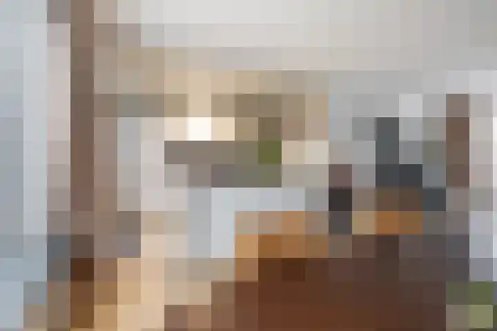 Jan Dignumszstraat 23 Kwadijk thumbnail 19