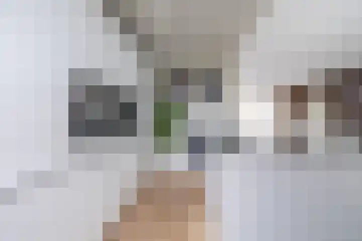 Jan Dignumszstraat 23 Kwadijk thumbnail 22