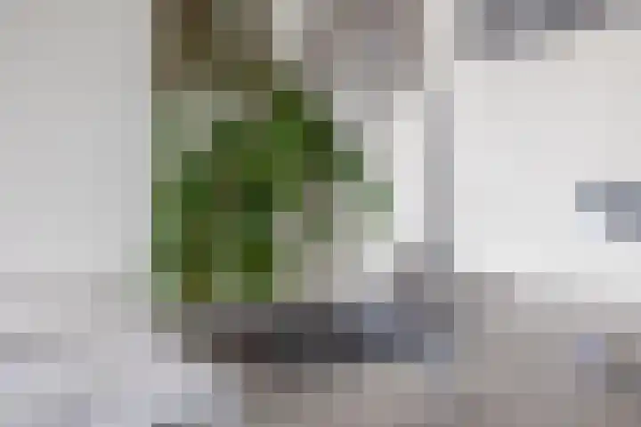 Jan Dignumszstraat 23 Kwadijk thumbnail 24