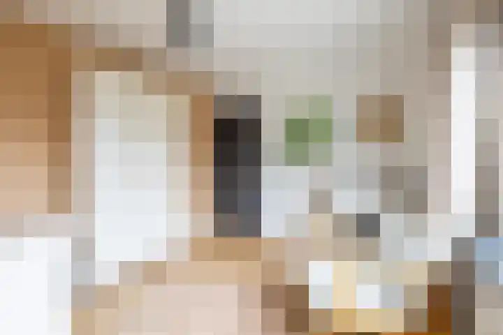 Jan Dignumszstraat 23 Kwadijk thumbnail 30
