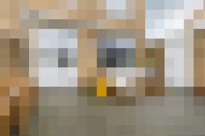 Jan Dignumszstraat 23 Kwadijk thumbnail 41