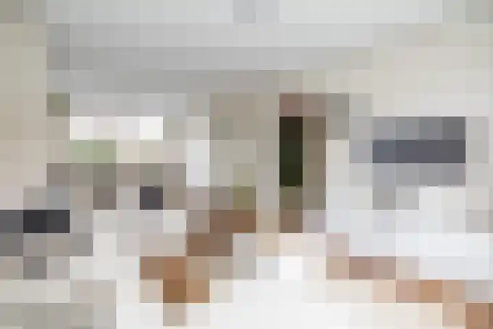 Jan Dignumszstraat 24 Kwadijk thumbnail 11