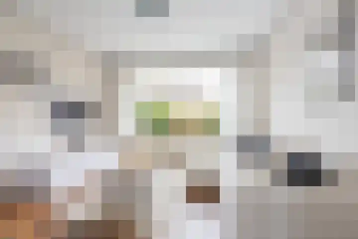 Jan Dignumszstraat 24 Kwadijk thumbnail 17