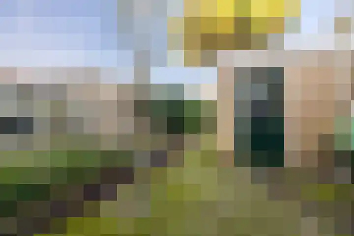 Jan Dignumszstraat 24 Kwadijk thumbnail 38