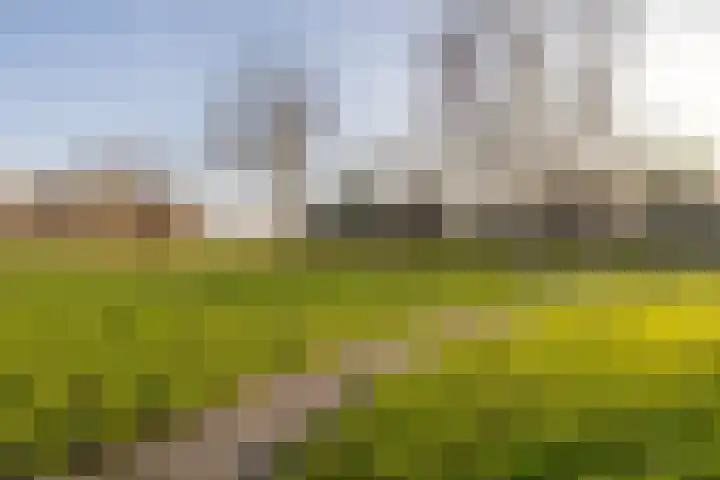 Jan Dignumszstraat 24 Kwadijk thumbnail 42