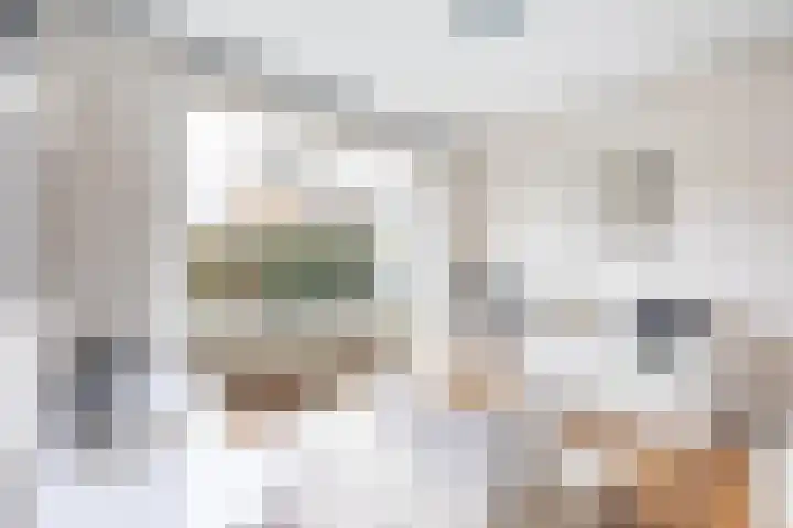 Jan Dignumszstraat 24 Kwadijk thumbnail 8