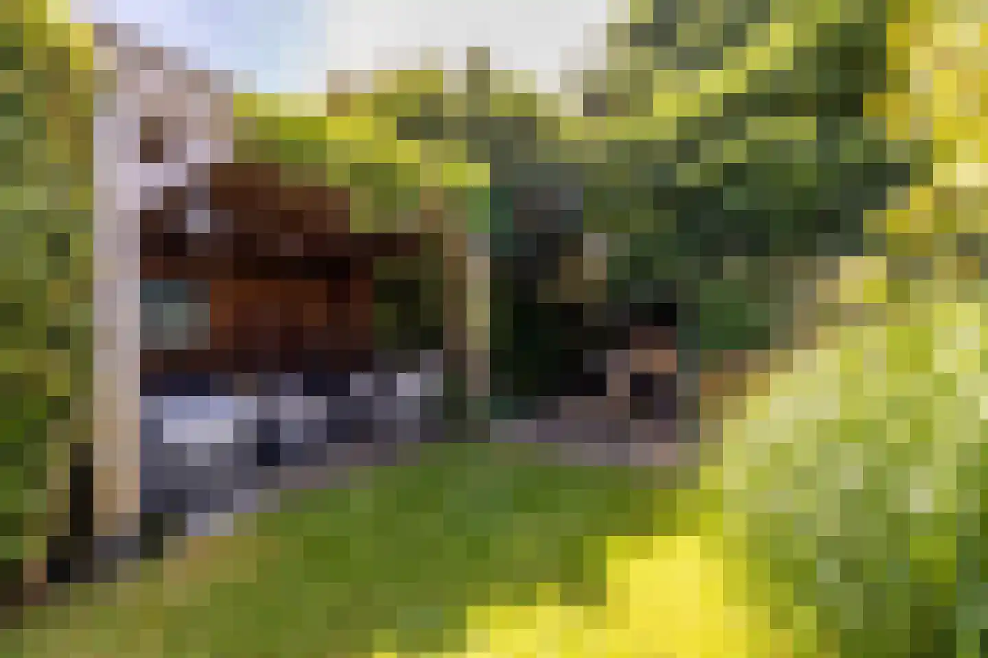 Jan Dignumszstraat 31 Kwadijk thumbnail 15