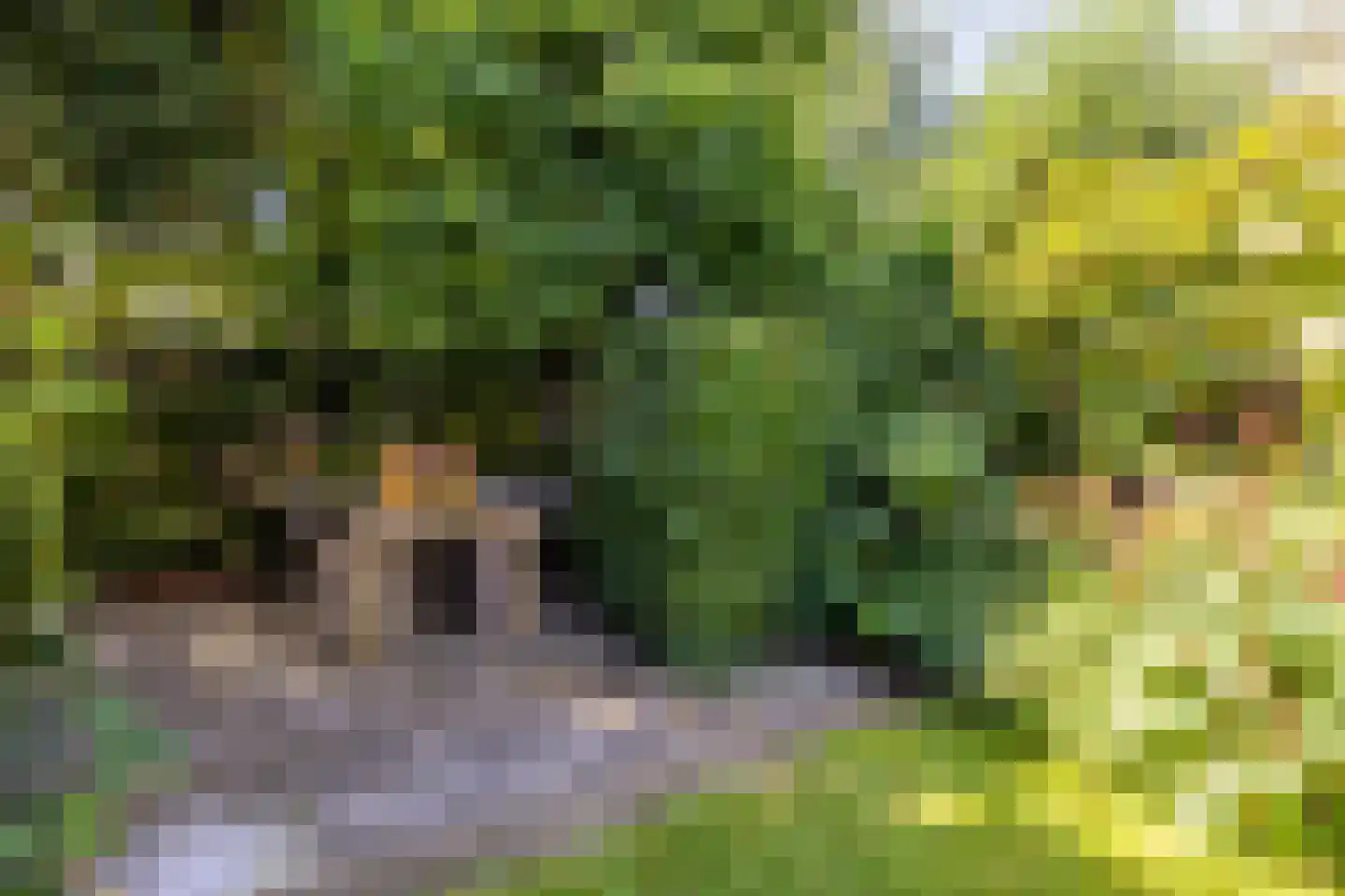 Jan Dignumszstraat 31 Kwadijk thumbnail 17