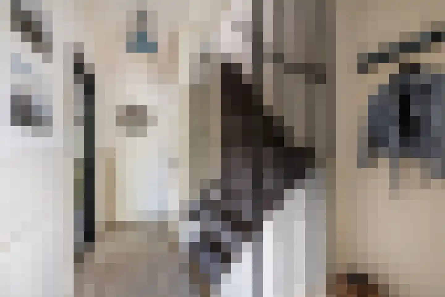 Jan Dignumszstraat 31 Kwadijk thumbnail 21
