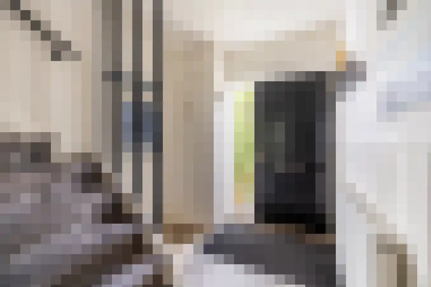 Jan Dignumszstraat 31 Kwadijk thumbnail 23