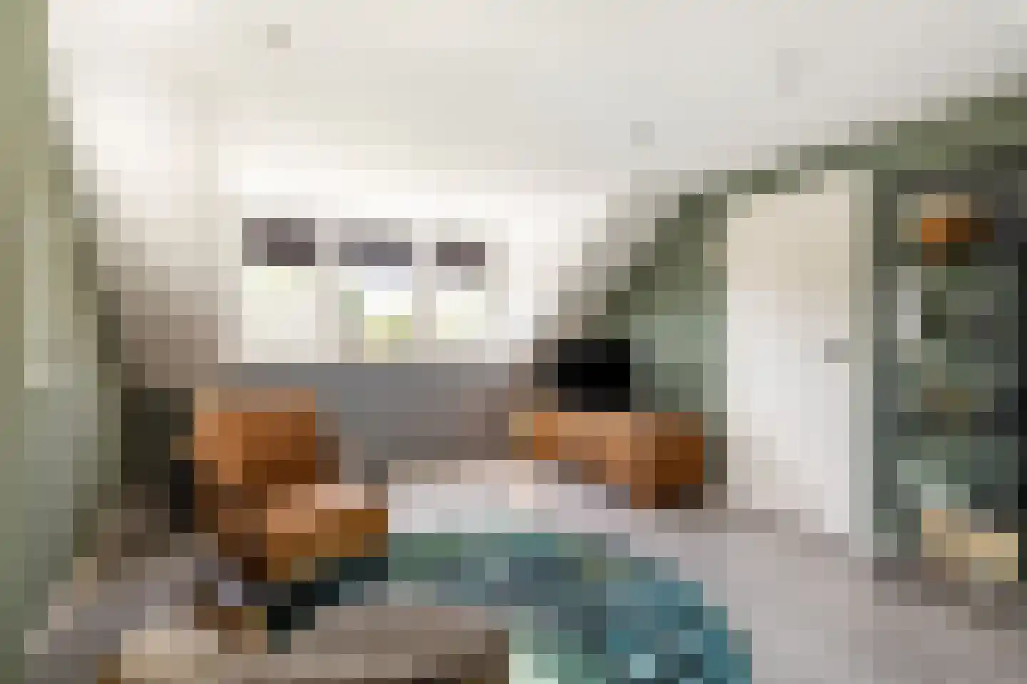 Jan Dignumszstraat 31 Kwadijk thumbnail 34