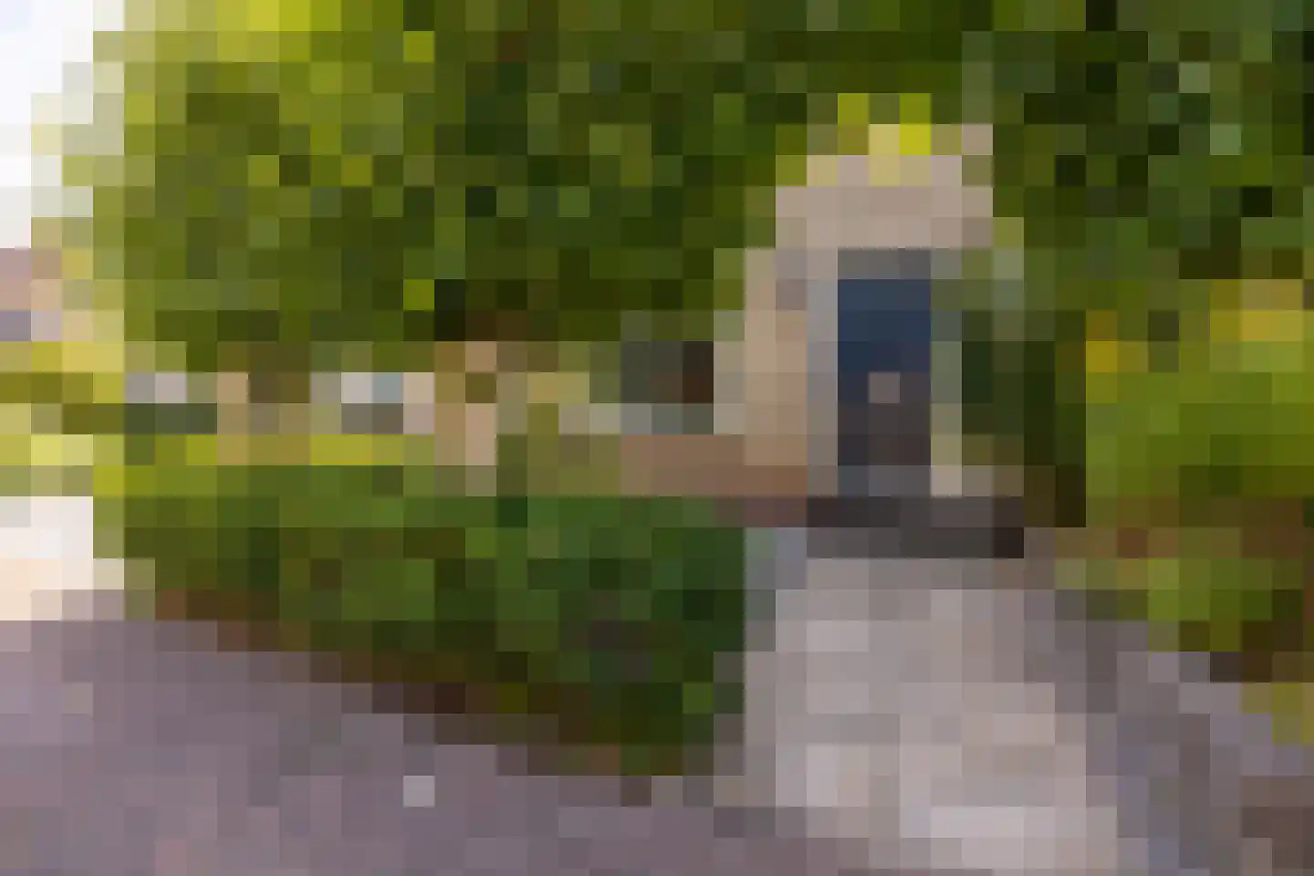 Jan Dignumszstraat 31 Kwadijk thumbnail 37