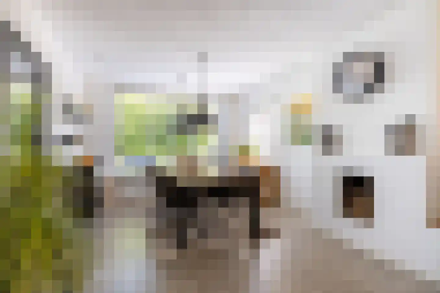 Jan Dignumszstraat 31 Kwadijk thumbnail 6
