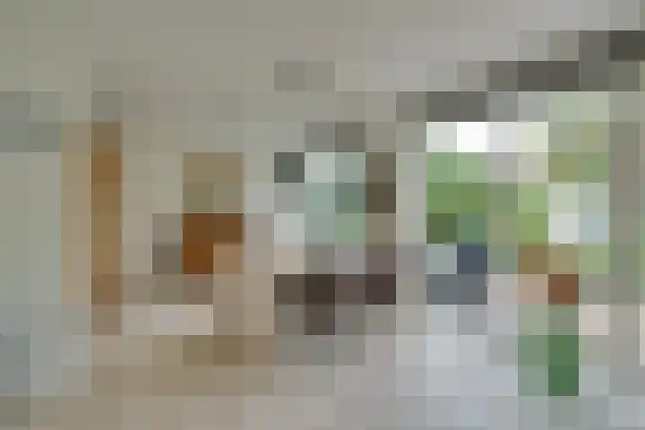 Jan Dignumszstraat 33 Kwadijk thumbnail 13
