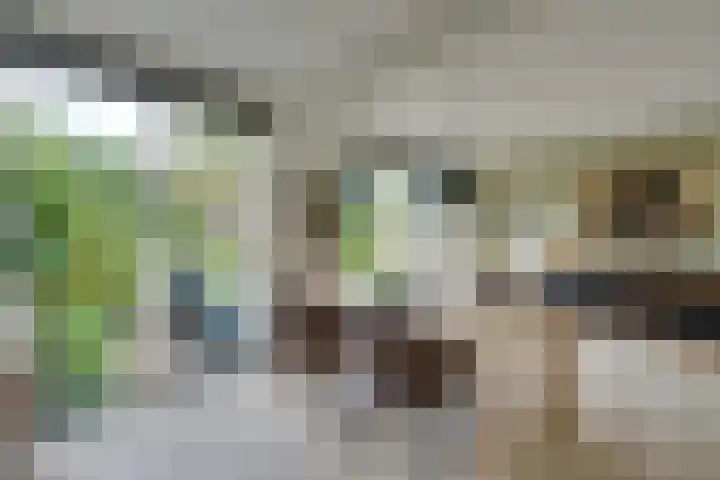 Jan Dignumszstraat 33 Kwadijk thumbnail 14