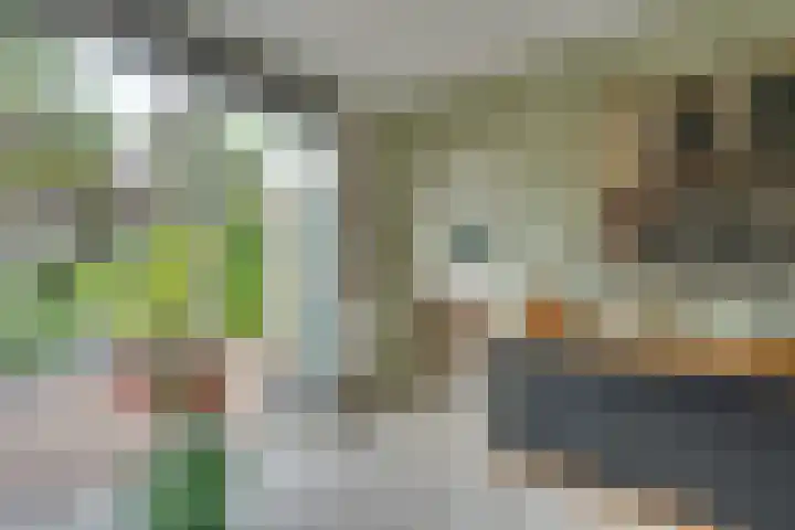 Jan Dignumszstraat 33 Kwadijk thumbnail 16