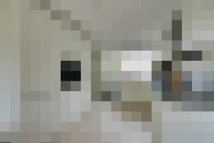 Jan Dignumszstraat 33 Kwadijk thumbnail 17