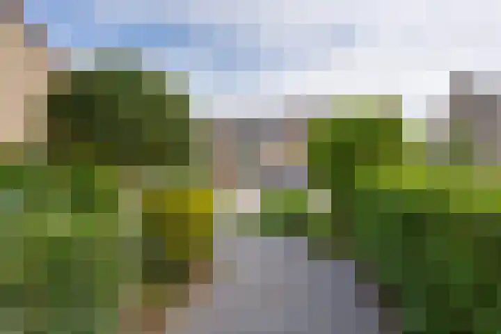 Jan Dignumszstraat 33 Kwadijk thumbnail 4