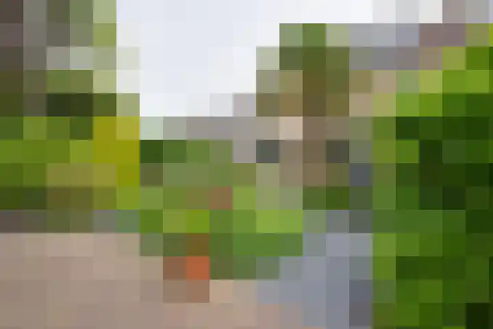 Jan Dignumszstraat 33 Kwadijk thumbnail 42