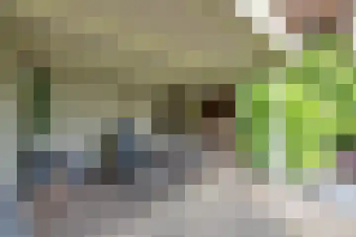 Jan Dignumszstraat 33 Kwadijk thumbnail 45