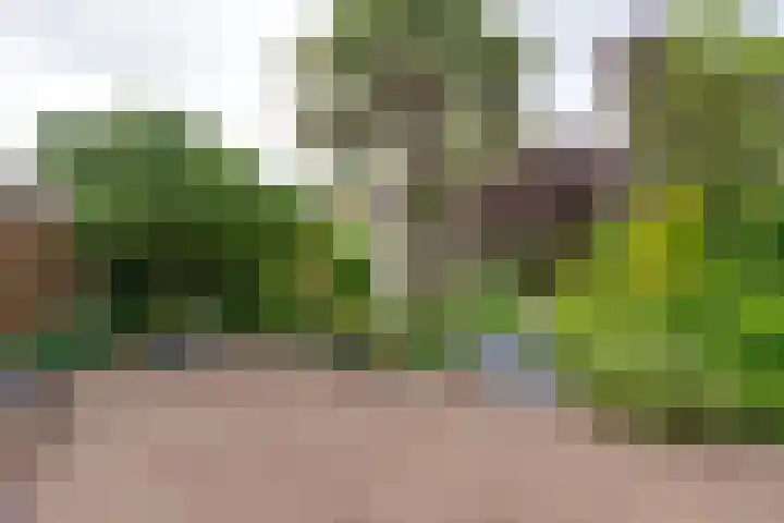 Jan Dignumszstraat 33 Kwadijk thumbnail 47