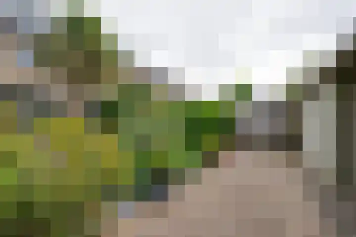 Jan Dignumszstraat 33 Kwadijk thumbnail 49