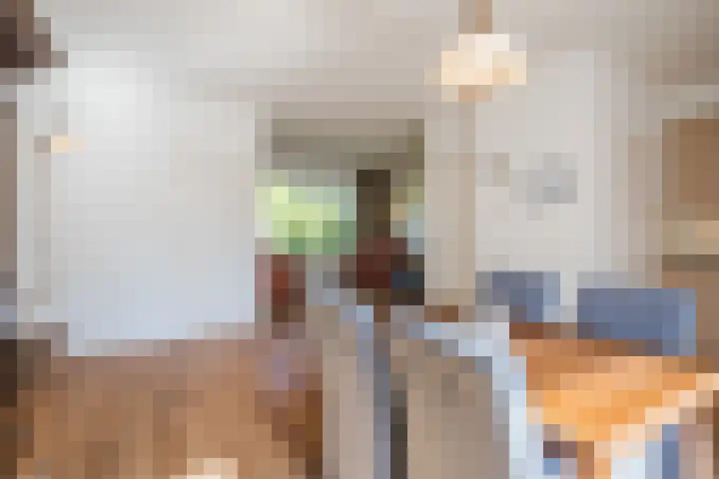 Jan Dimmendaalstraat 16 Ruurlo thumbnail 13
