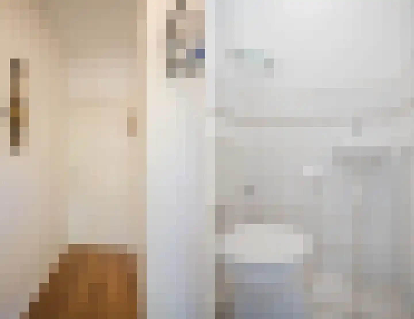 Jan Dimmendaalstraat 16 Ruurlo thumbnail 19