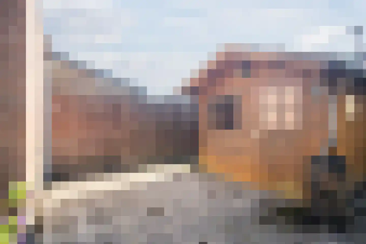 Jan Dimmendaalstraat 16 Ruurlo thumbnail 39